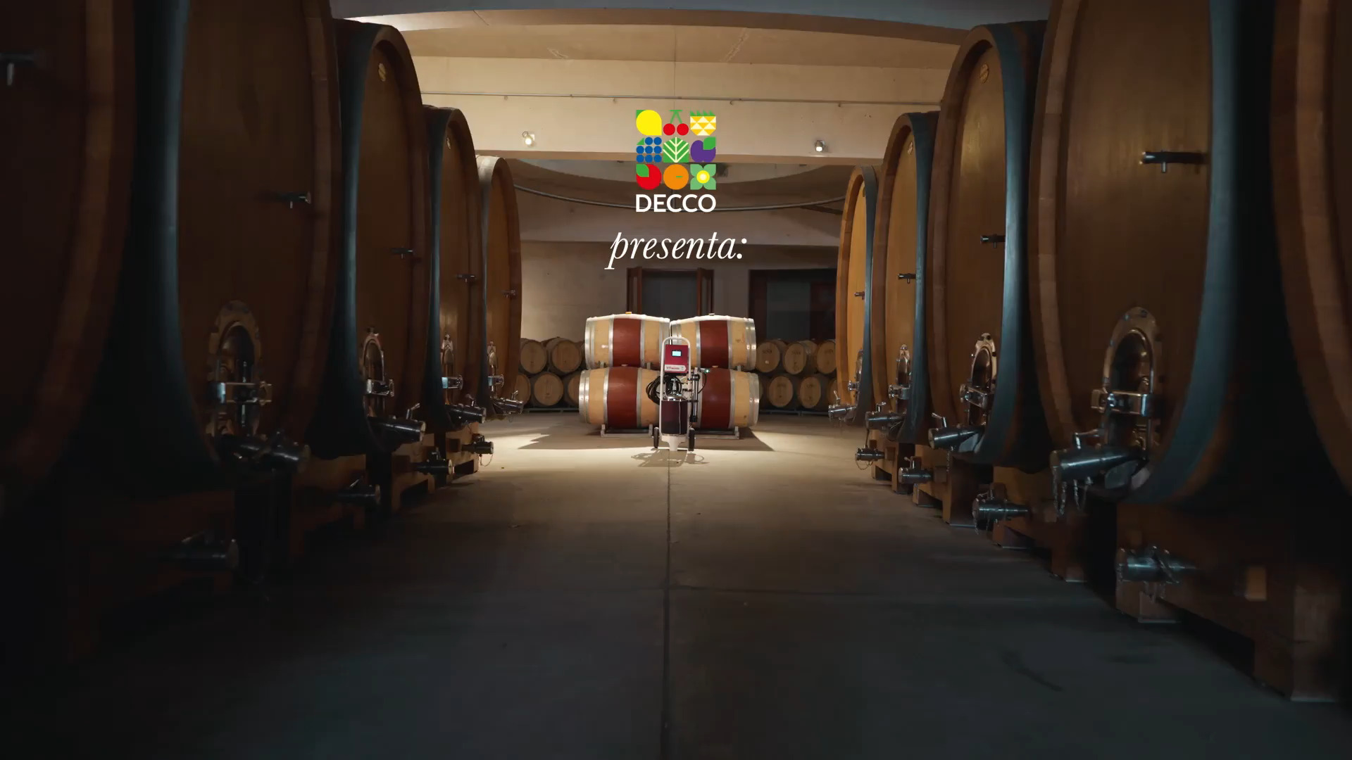 YT Wine en bodega