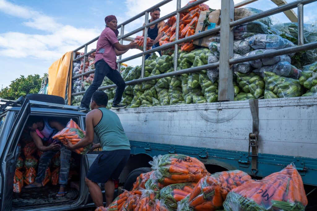 transport-de fruats y verduras en asia