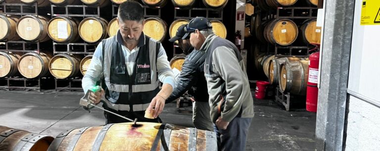 Sulfitación del vino con SO₂ gaseoso: precisión, trazabilidad e innovación en bodega