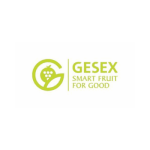 logo gesex